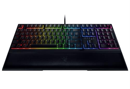 Razer RZ03-03380100-R3M1 Ornata V2 Chroma